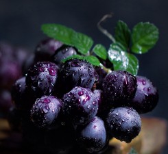 葡萄营养方案
