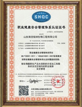 Certificate of Occupational Health and Safety Management Systems