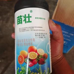 关于假冒伪劣产品“苗壮”声明