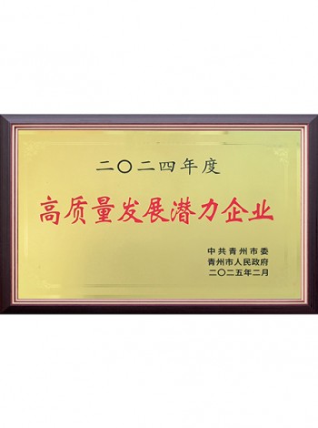 2024年度高质量发展潜力企业