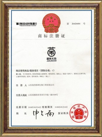 JUNLINDADI Trademark