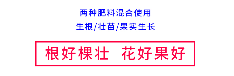 海藻黄金甲-详情-1_05.jpg