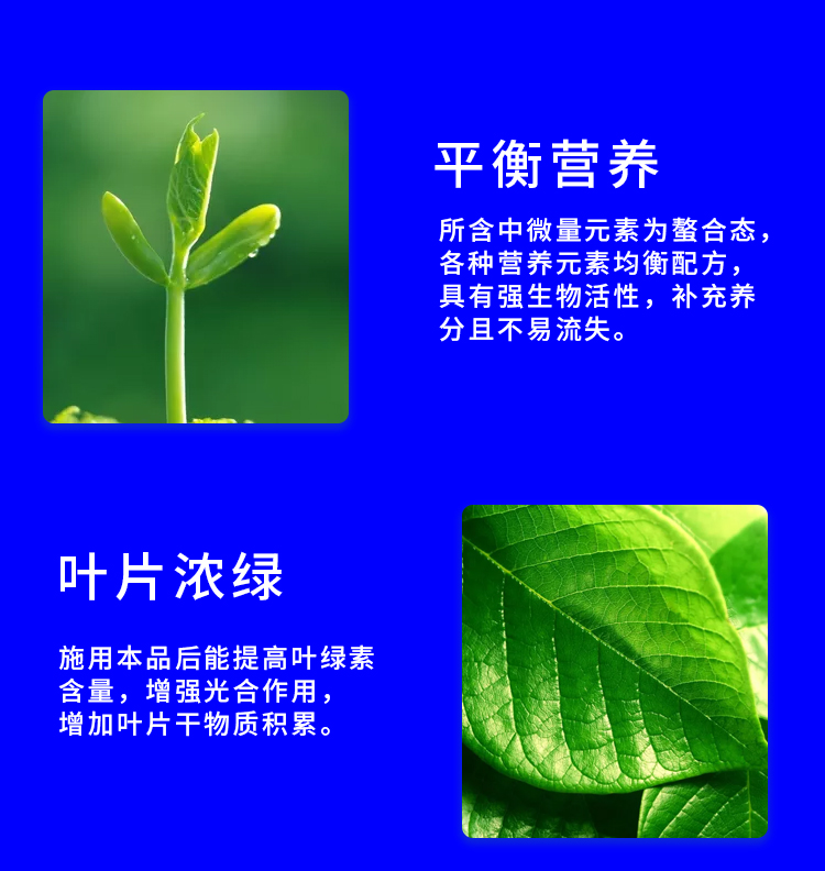 海藻黄金甲-详情-1_11.jpg