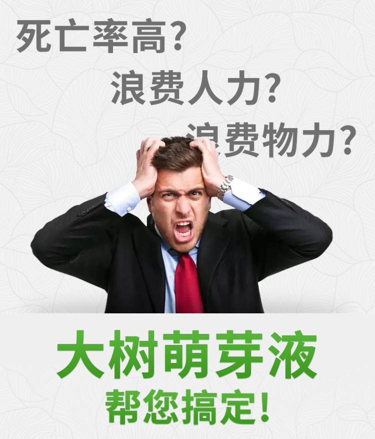 大树**液_04.jpg