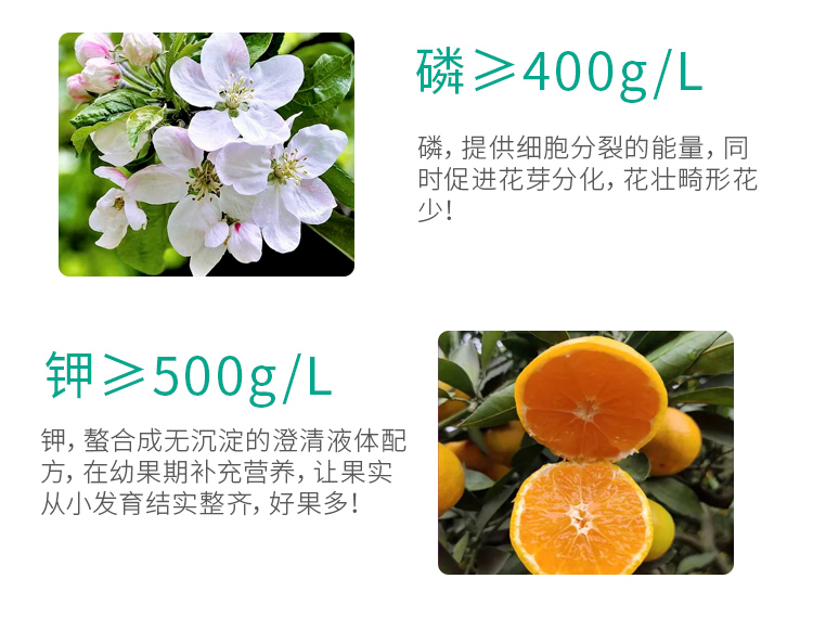 高磷高钾海藻型_06.jpg