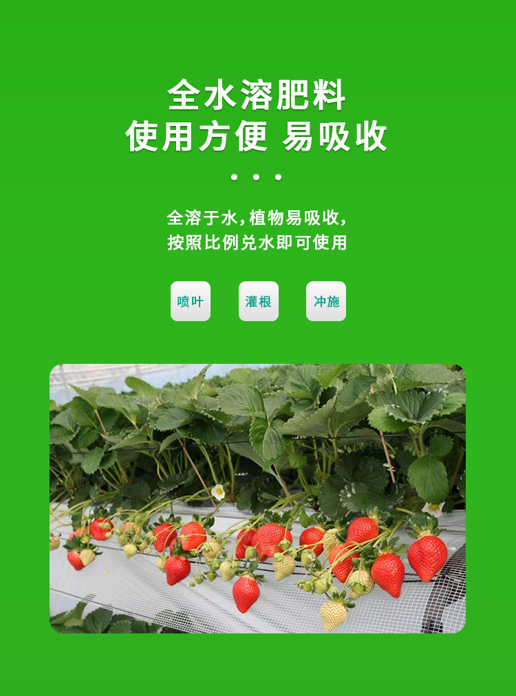 高磷高钾海藻型_07.jpg
