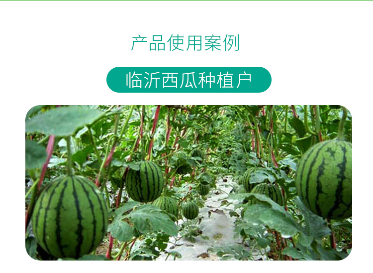 高磷高钾海藻型_08.jpg