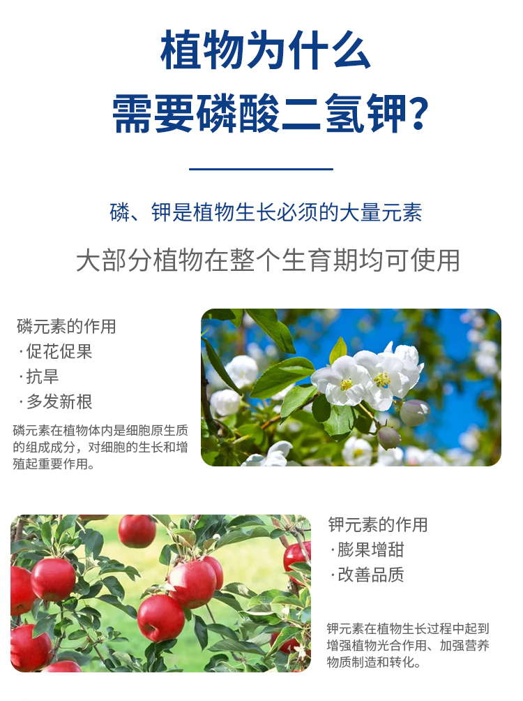 磷酸二氢钾-详情-2_02.jpg