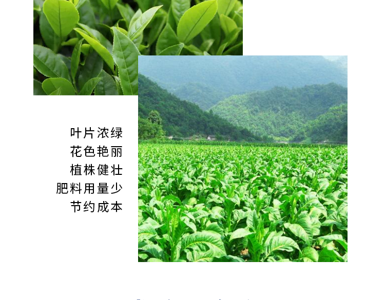 磷酸二氢钾-详情-3_01.jpg