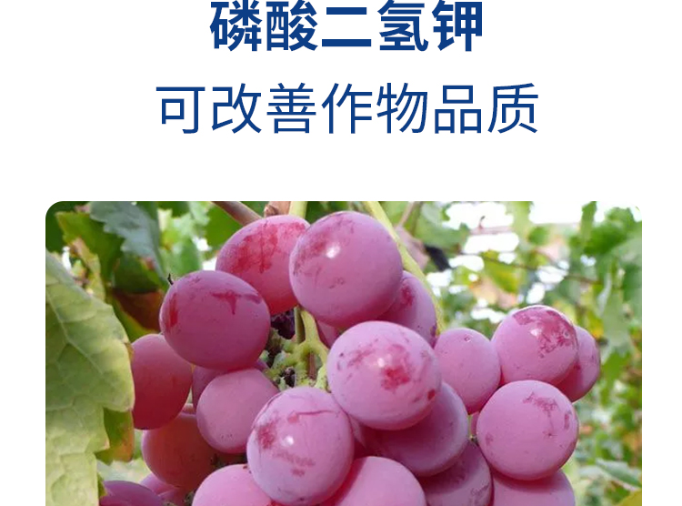 磷酸二氢钾-详情-3_02.jpg