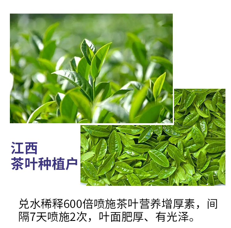 催芽增厚素-1000g_01_08.jpg