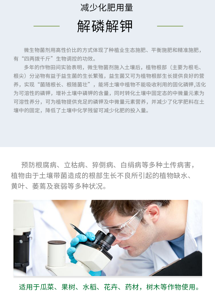 根腐宁-详情_05.jpg
