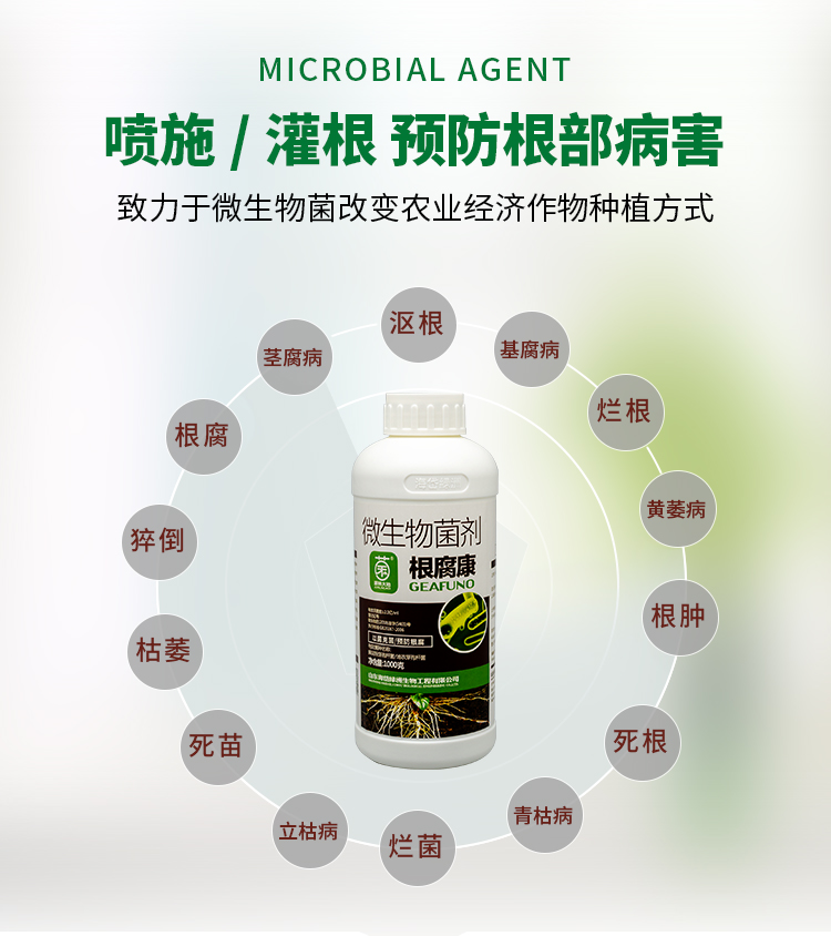 根腐宁-详情_02.jpg