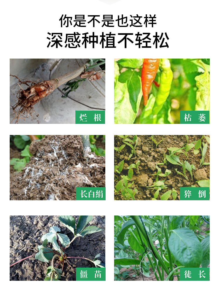 根腐宁-详情_03.jpg