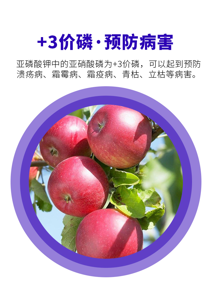 亚磷酸钾_05.jpg