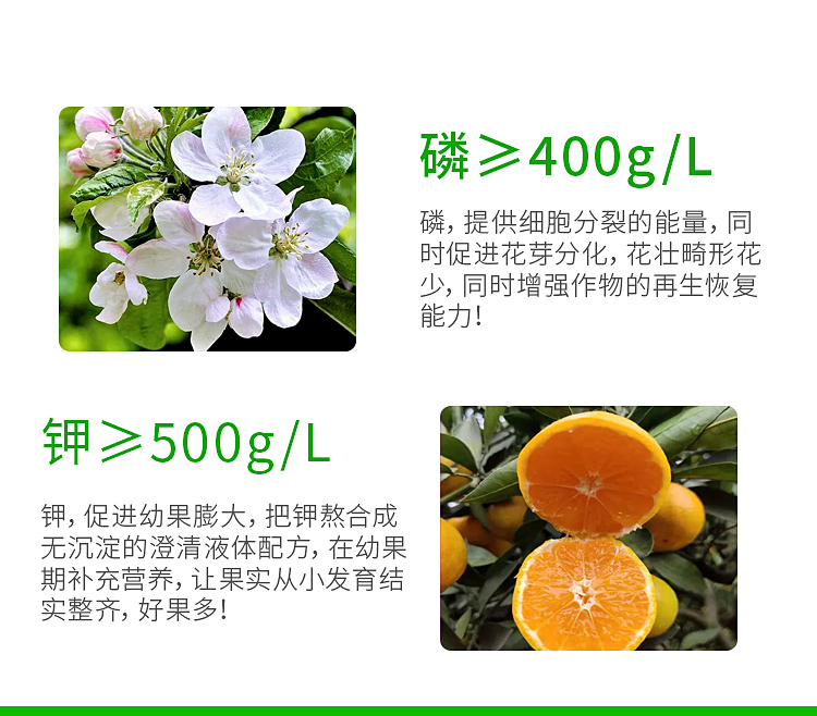 海藻磷钾_06.jpg