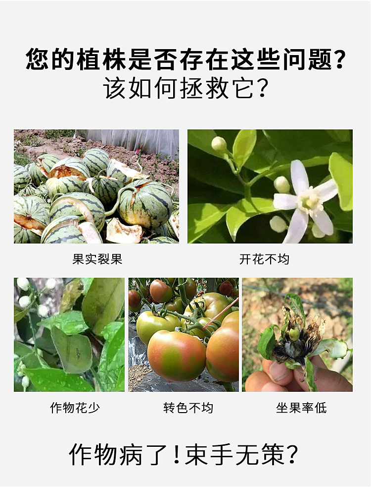 海藻磷钾_02.jpg