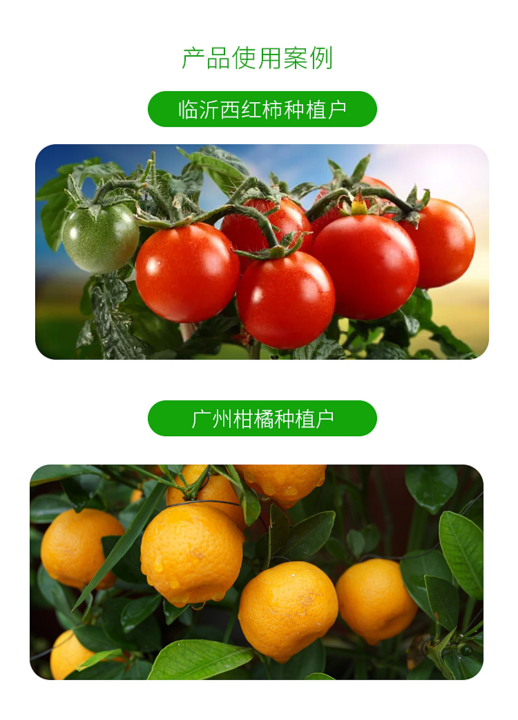 海藻磷钾_08.jpg