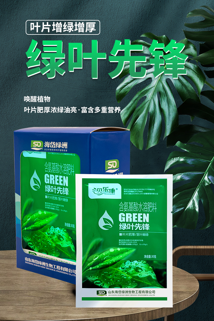 绿叶先锋_01.jpg
