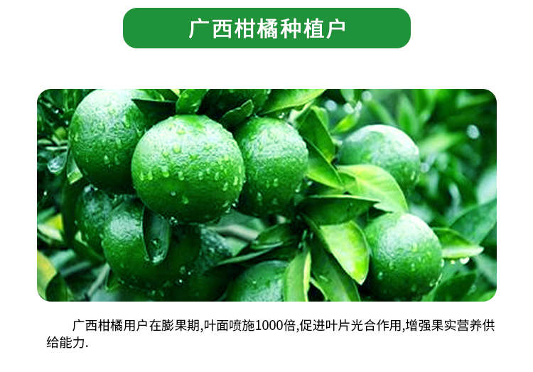 绿叶先锋-1详情_07.jpg