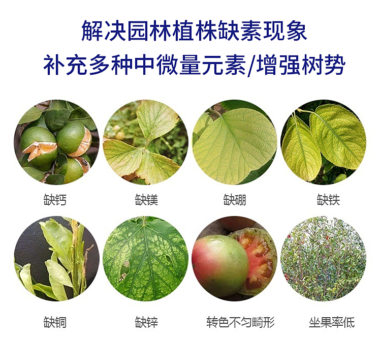 钙镁硼锌铁肥-详情-2_02.jpg