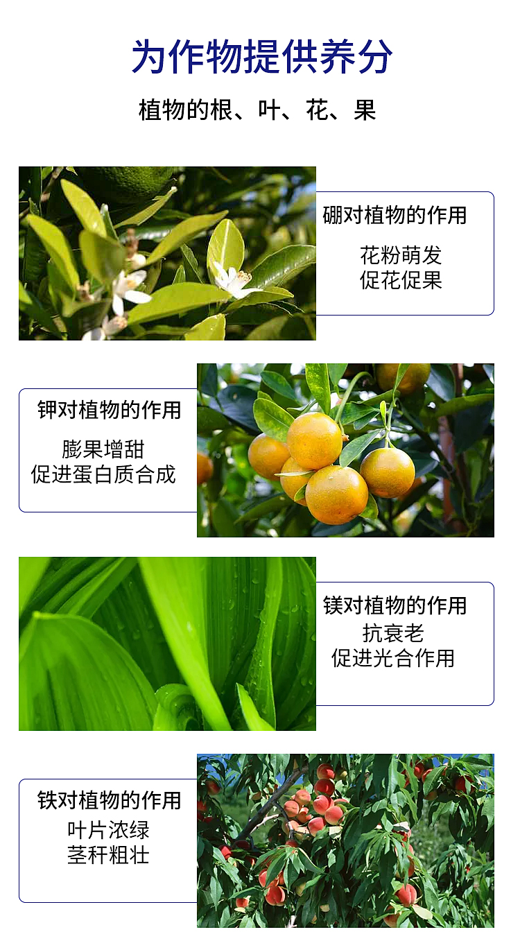 钙镁硼锌铁肥-详情-2_03.jpg