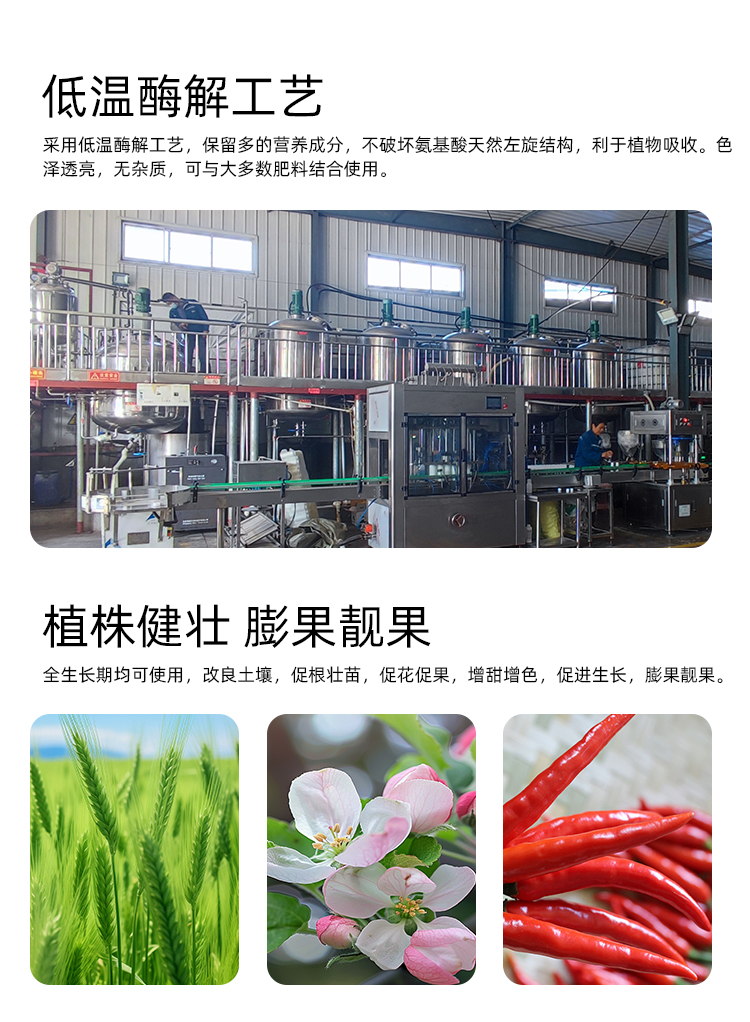 多肽氨基酸-定制详情_04.jpg