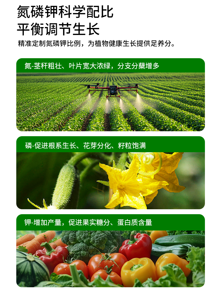 170-定制详情-恢复的_04.jpg