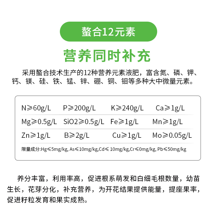 12元素_04.jpg