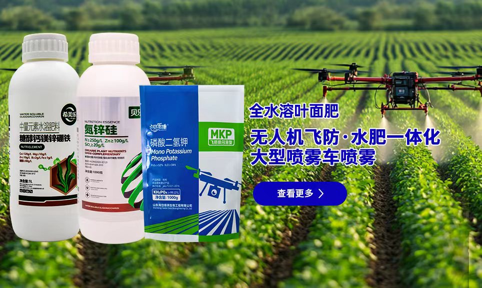 /html/en/index.php?ac=Article&at=List&tid=127